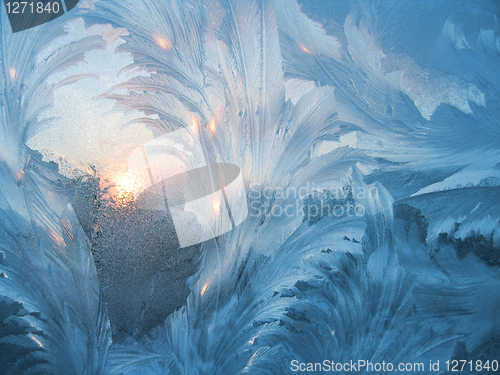 Image of frost and sun