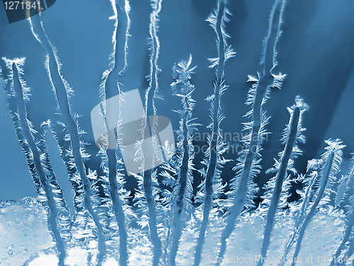 Image of ice patterns