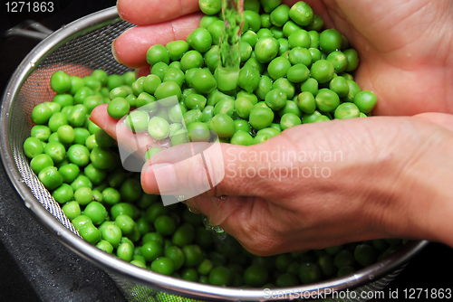 Image of Rinsing green peas