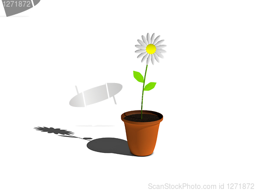 Image of Flower in Pot