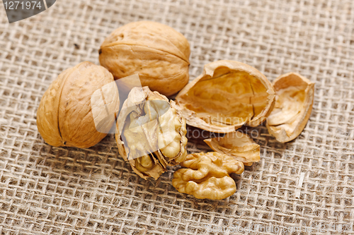 Image of Walnuts on homespun linen background