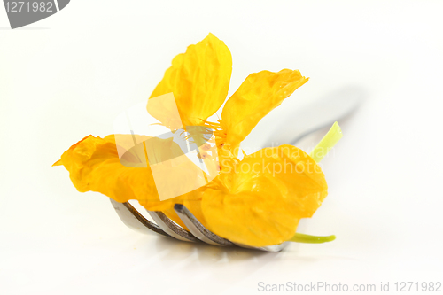 Image of edible flower