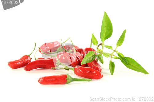 Image of paprika