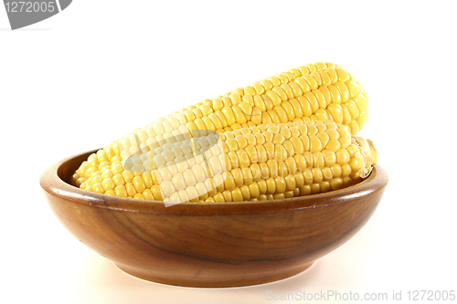 Image of Corn cob