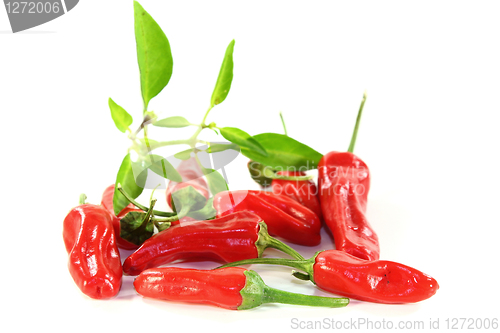 Image of paprika