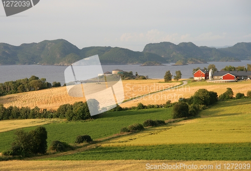 Image of Norwegian farmland by a fjord