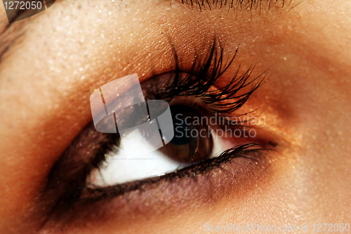 Image of Brown eye