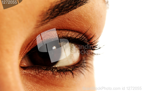 Image of Brown eye