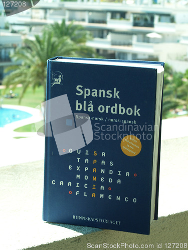 Image of Spanish-Norwegian dictionary