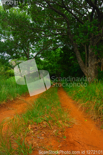 Image of Dirt road