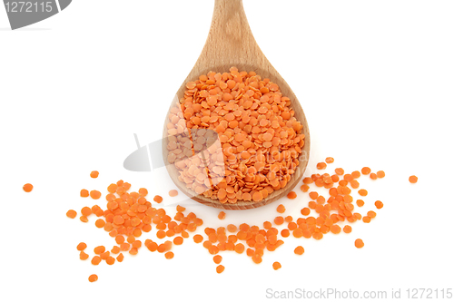 Image of Lentils