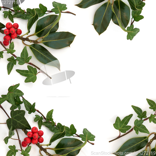 Image of Holly and Ivy Border