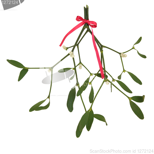 Image of Mistletoe