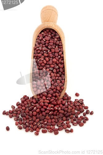 Image of Aduki Bean Pulses