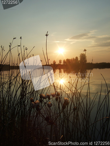 Image of twilight