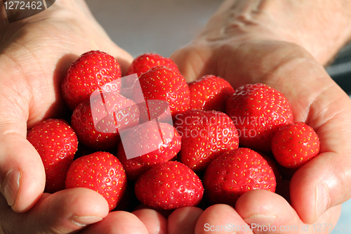 Image of Man with Strawberries