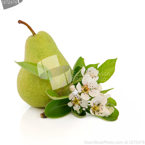 Image of Pear Fruit  