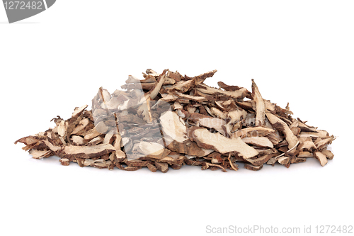 Image of Sweetflag Root