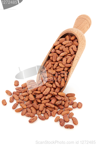 Image of Pinto Bean Pulses