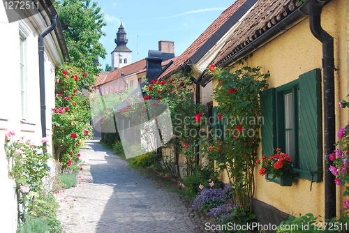 Image of Flower Street in Gotland, Sweden