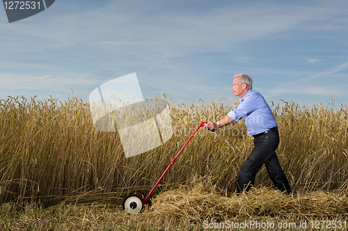 Image of Businessman and his Lawn mower