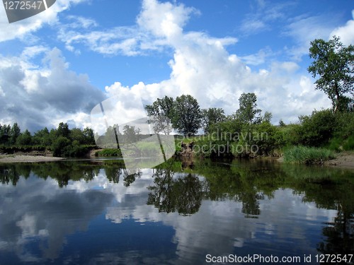 Image of Reflected trees in a creek