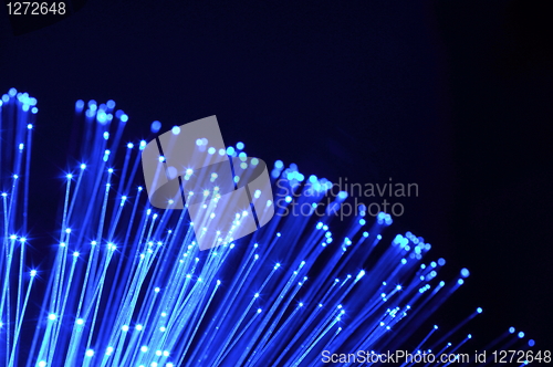 Image of fiber optics