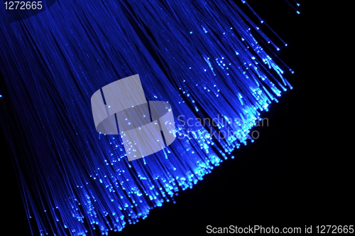 Image of fiber optic