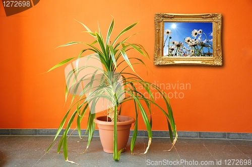 Image of picture on a wall and plant