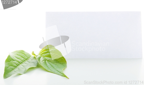 Image of paper