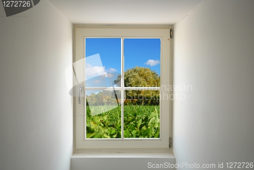 Image of window and nature