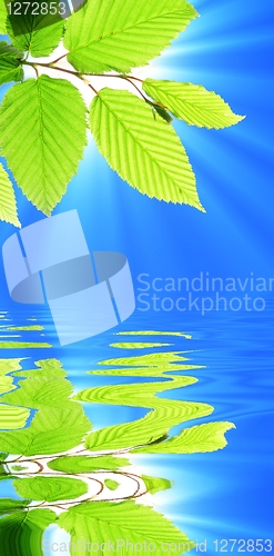 Image of summer