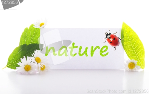 Image of nature