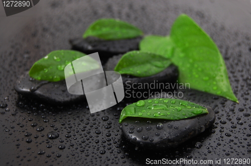 Image of zen stone wellness concept