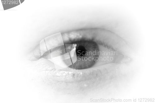 Image of eye