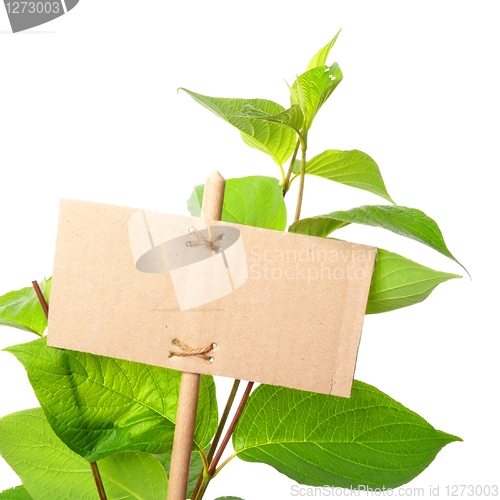 Image of empty sign