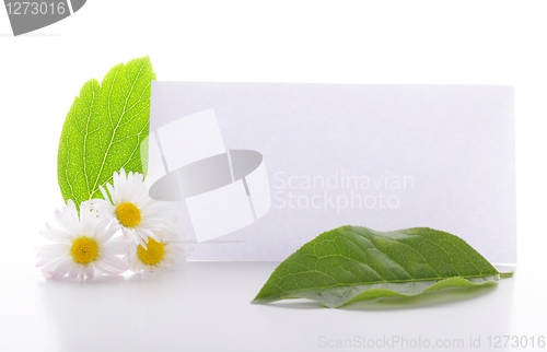 Image of blank paper
