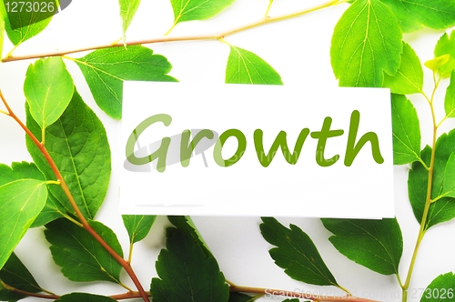 Image of growth