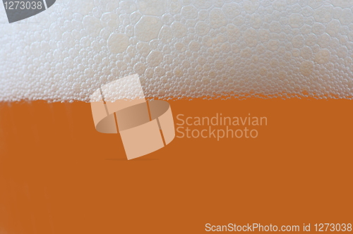 Image of glass of beer