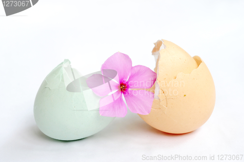 Image of Broken empty eggshells