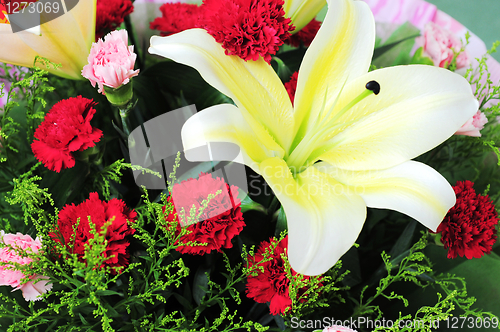 Image of Flowers