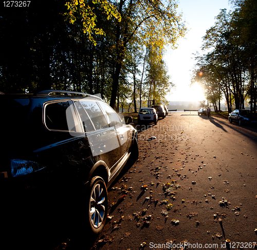 Image of autumn