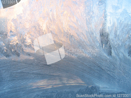 Image of frost and sunlight