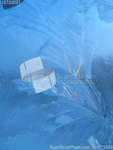 Image of frosty natural pattern