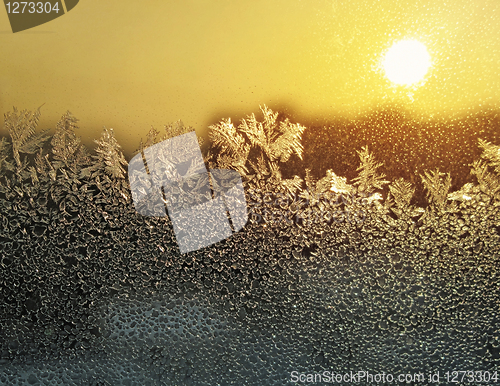 Image of frost and sun