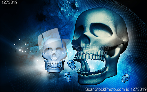 Image of Skull