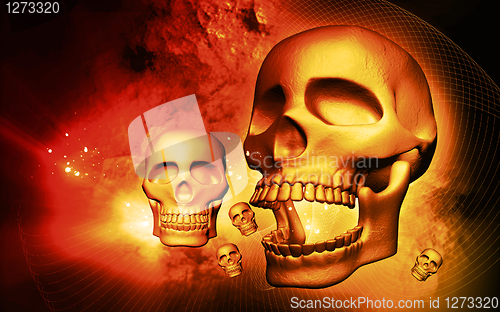 Image of Skull
