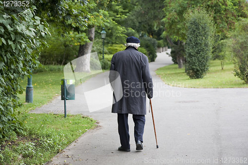 Image of Senior walk in the park