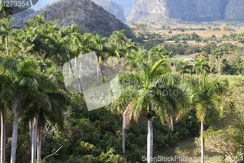 Image of Vinales, Cuba