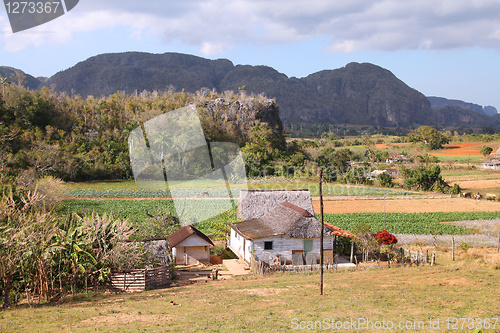 Image of Vinales, Cuba